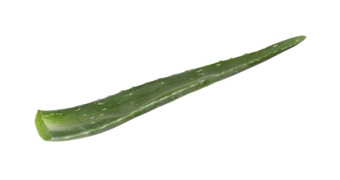 Photo of One aloe vera leaf isolated on white