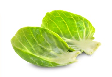 Photo of Leaves of fresh green brussels sprout isolated on white