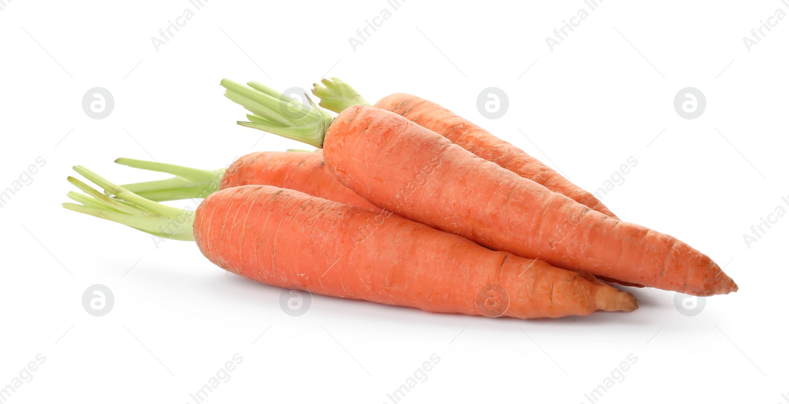 Photo of Fresh ripe carrots on white background. Wholesome vegetable