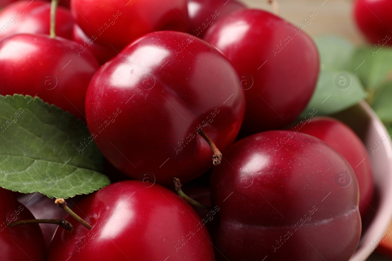 Photo of Fresh ripe cherry plums in bowl, closeup