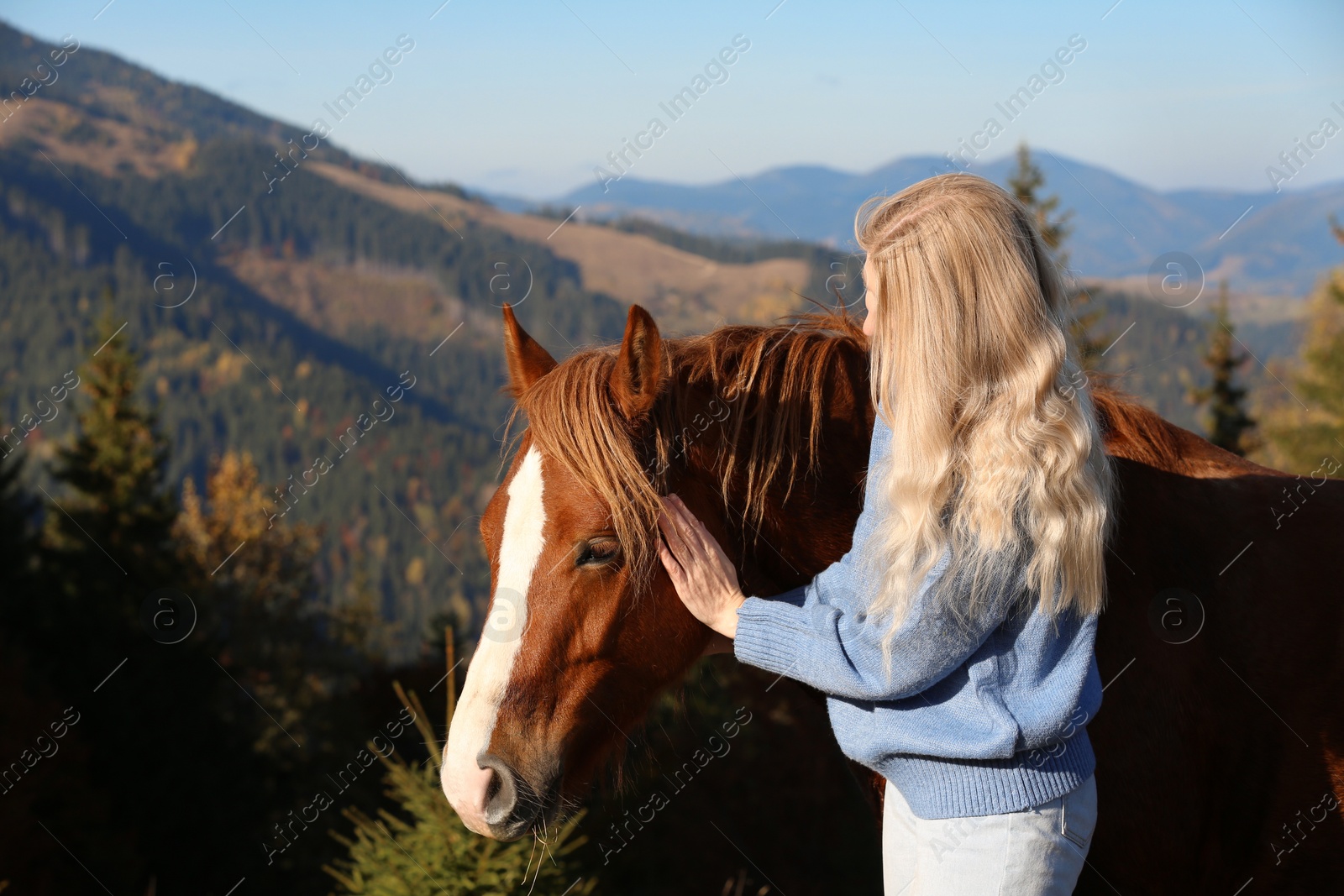 Photo of Young woman petting beautiful horse in mountains on sunny day