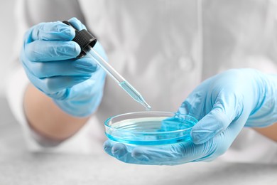 Photo of Scientist dripping liquid from pipette into petri dish at table, closeup