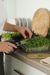 Photo of Woman with scissors cutting fresh microgreens at countertop in kitchen, closeup