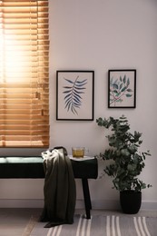 Photo of Stylish room interior with green eucalyptus tree, floral paintings and bench