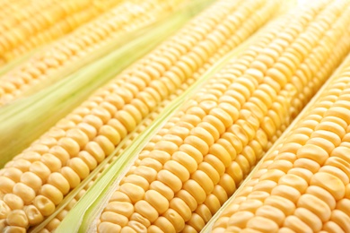 Photo of Tasty sweet corn cobs as background, closeup