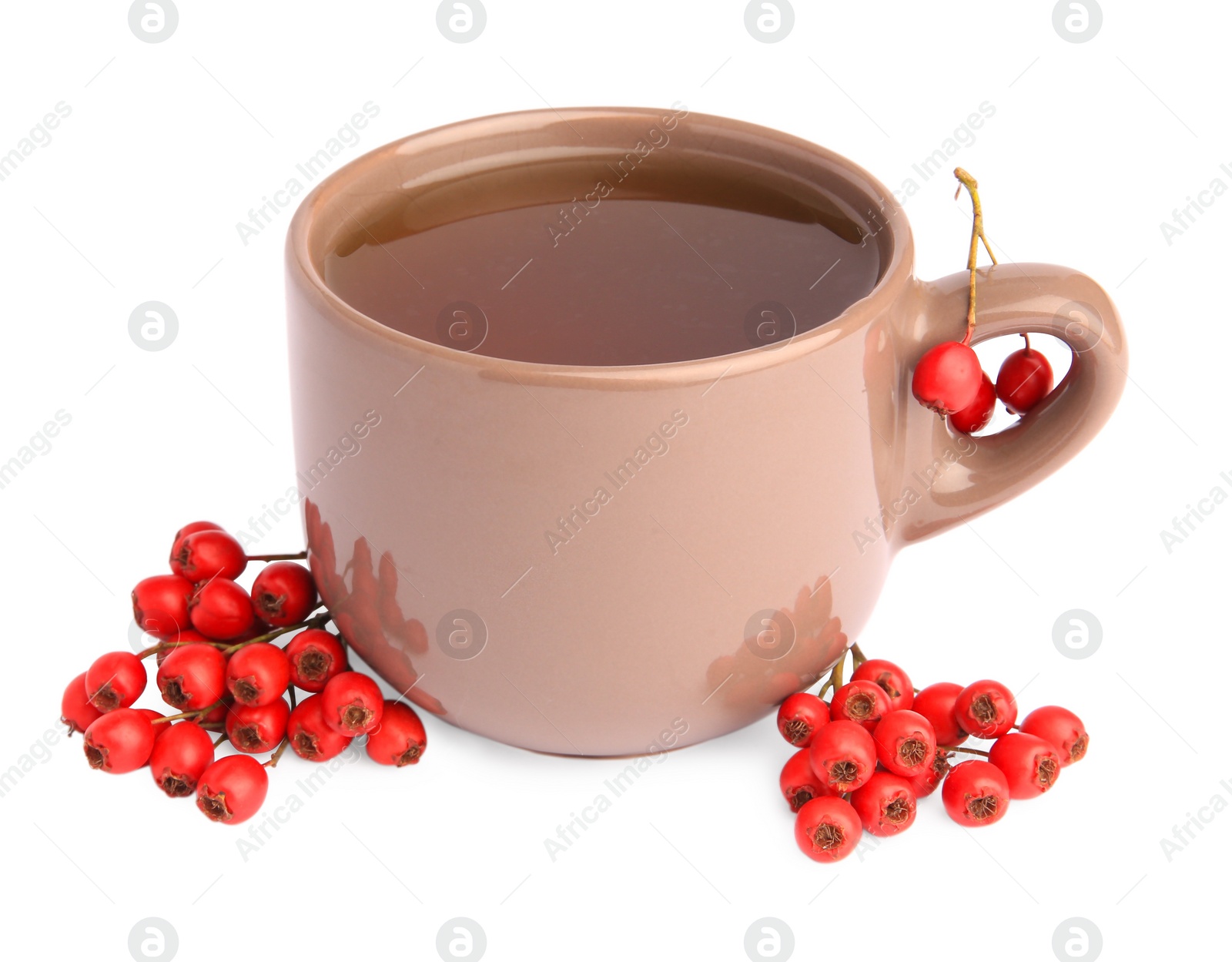 Photo of Aromatic hawthorn tea in cup and berries isolated on white