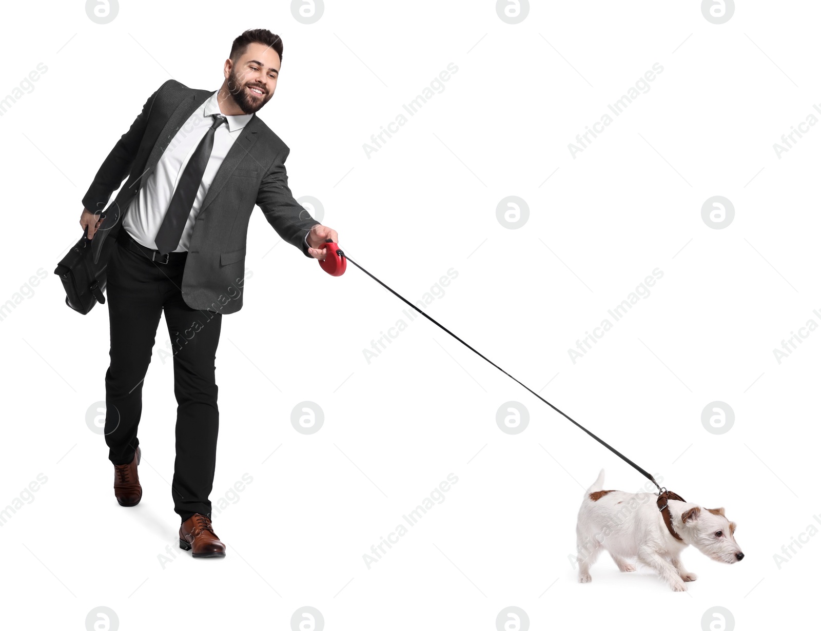 Image of Smiling businessman walking with dog on white background