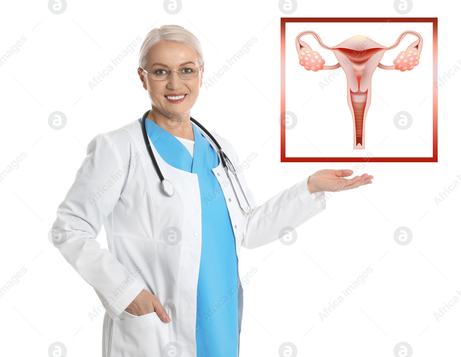 Image of Mature doctor demonstrating illustration of female reproductive system on white background. Gynecological care 