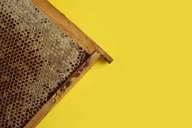 Photo of Honeycomb frame on yellow background, top view with space for text. Beekeeping