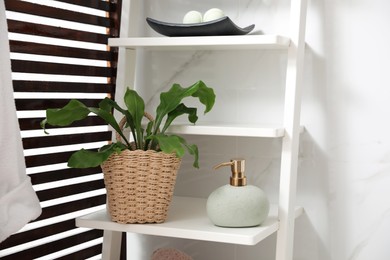 Photo of Beautiful green fern and soap dispenser on shelving unit in bathroom