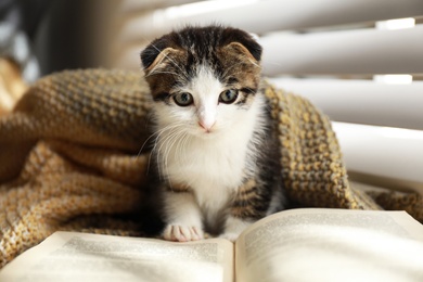 Adorable little kitten and book near window indoors