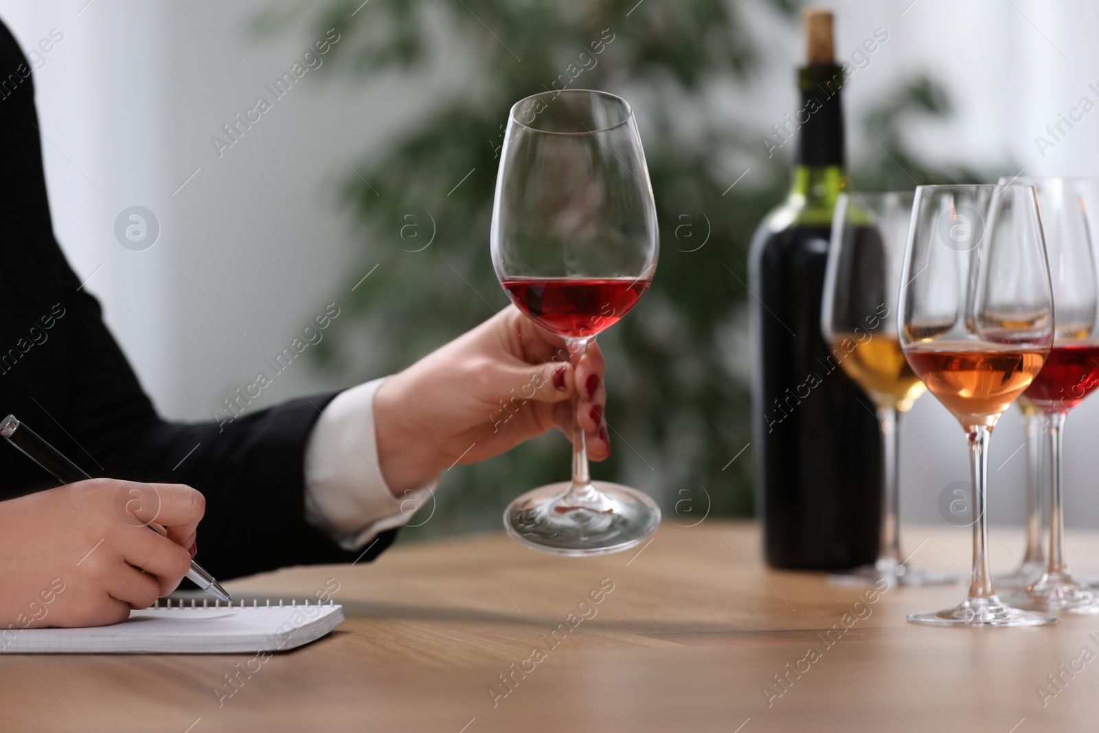 Photo of Sommelier tasting different sorts of wine at table indoors, closeup