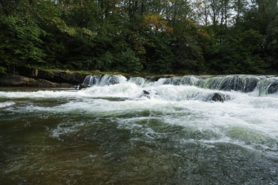 Photo of Picturesque view on river with rapids near forest