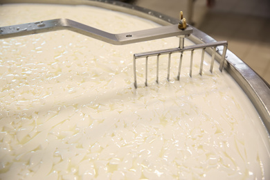 Curd and whey in tank at cheese factory, closeup