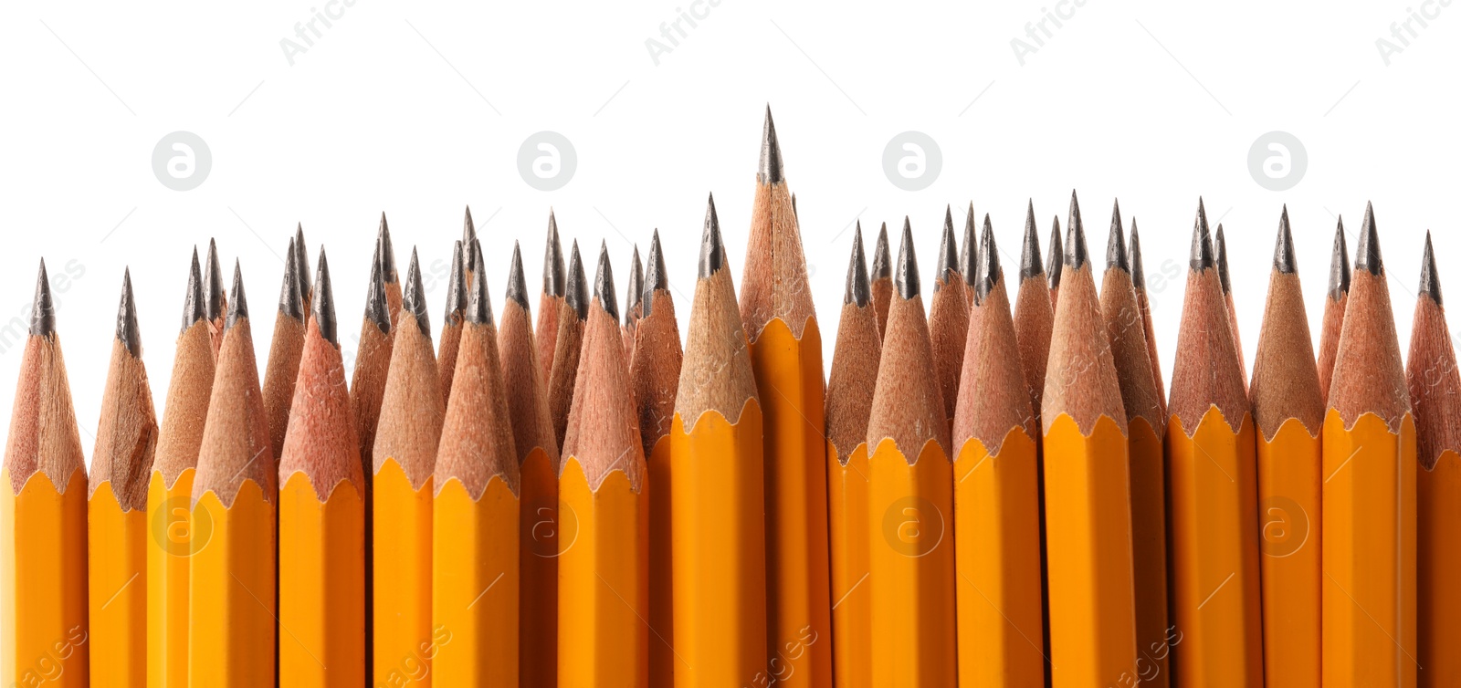 Photo of Many sharp graphite pencils isolated on white