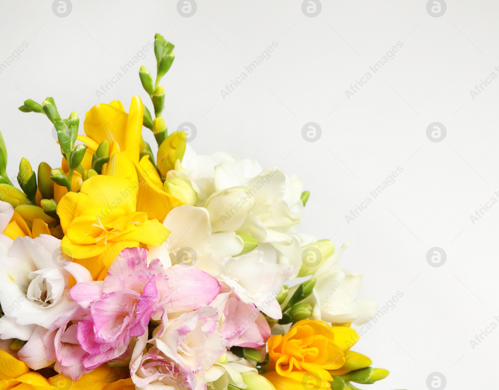 Photo of Beautiful colorful freesia bouquet on grey background, closeup. Space for text