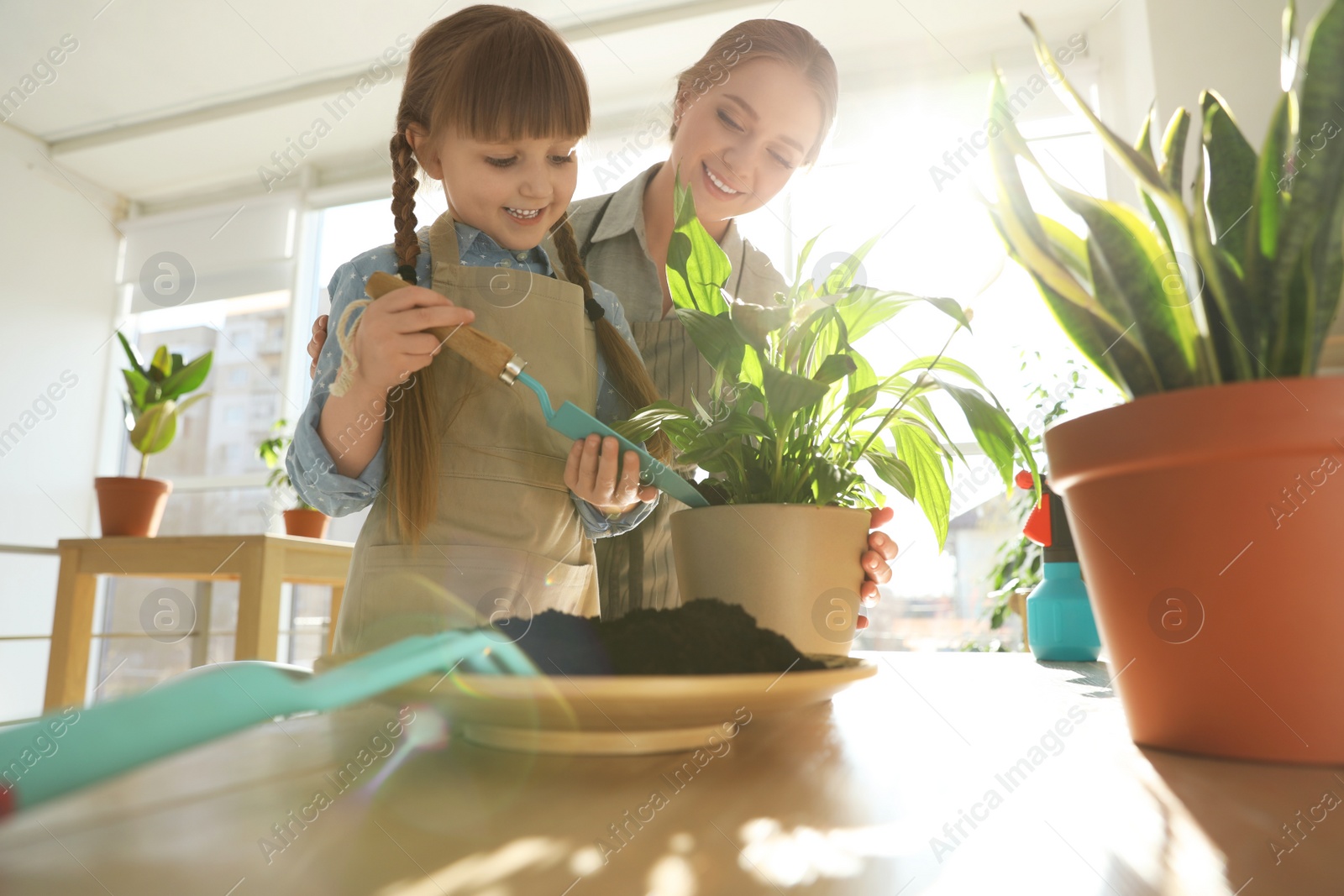 Photo of Mother and daughter taking care of home plants at table indoors