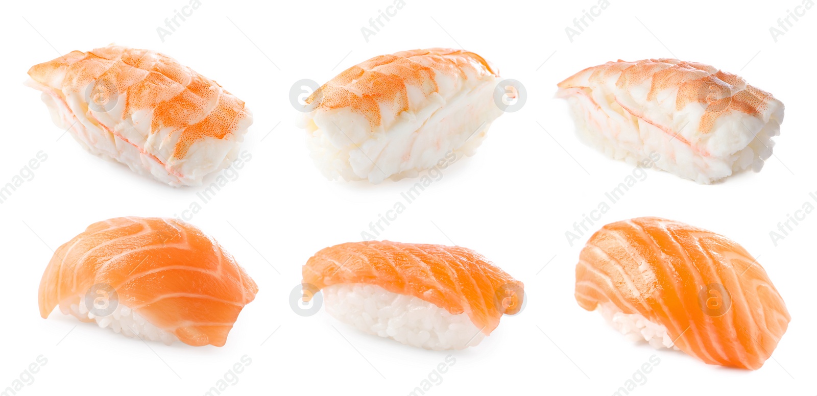 Image of Set of nigiri sushi with shrimp and salmon on white background