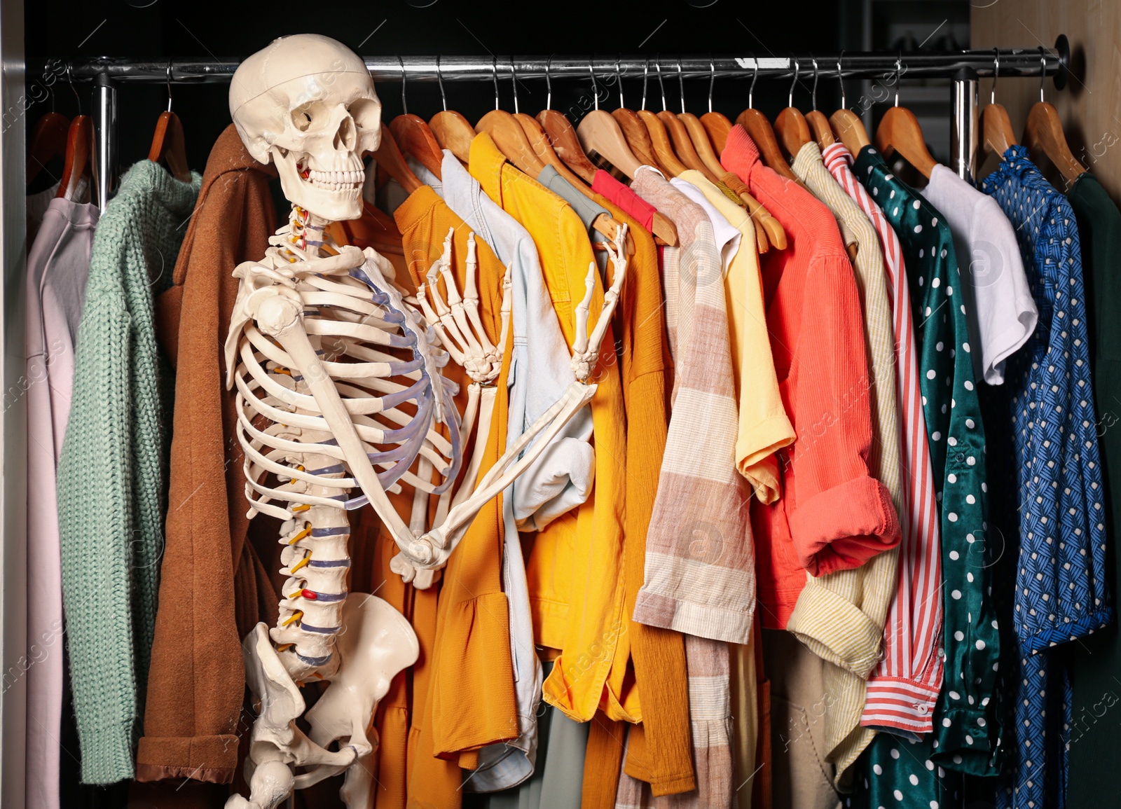 Photo of Artificial human skeleton model among clothes in wardrobe