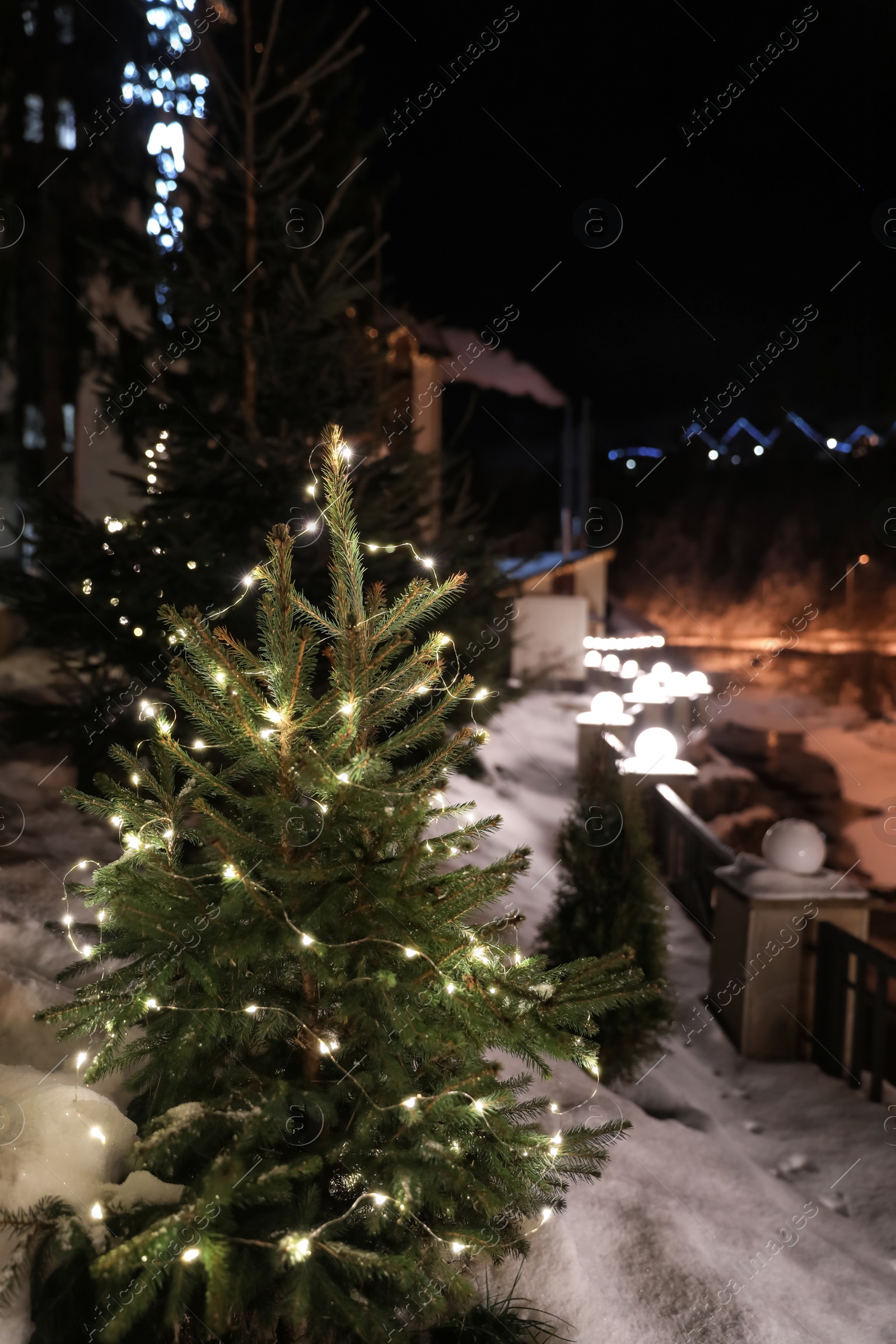 Photo of Beautiful conifer tree with glowing Christmas lights in snow drift on street. Winter holiday
