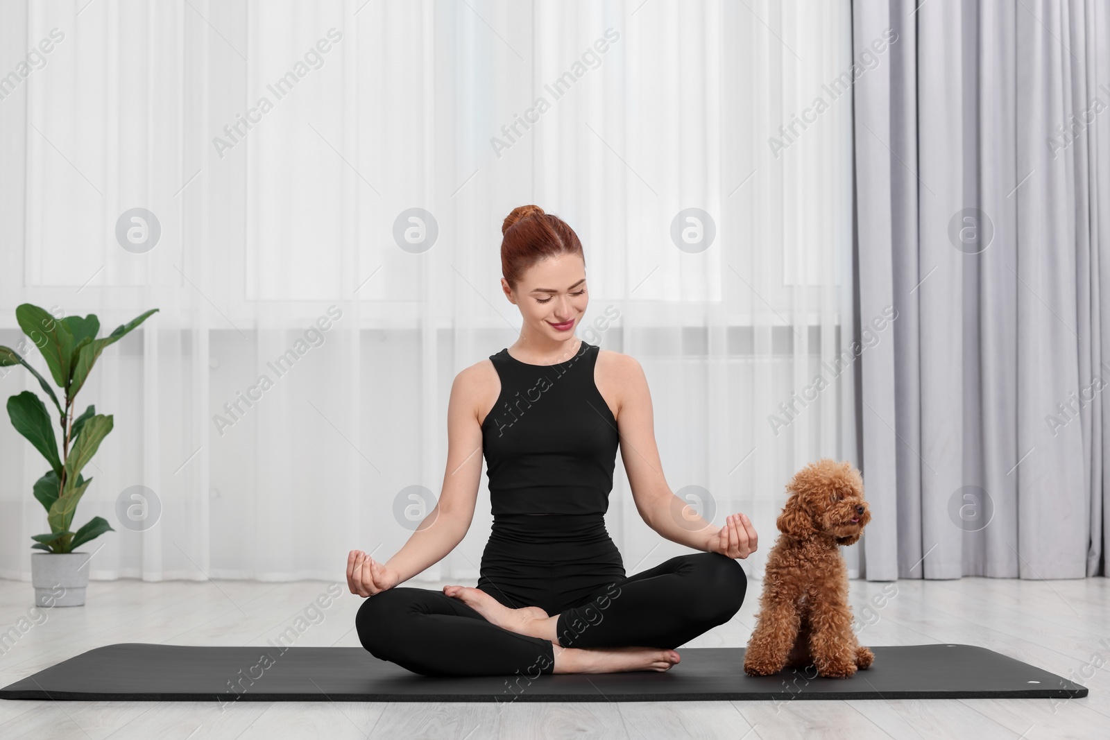 Photo of Young woman practicing yoga on mat with her cute dog indoors