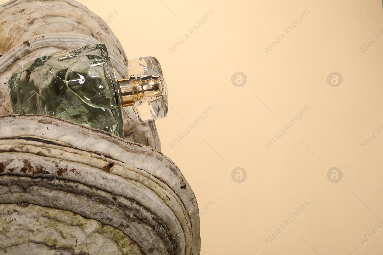 Photo of Luxury perfume in bottle on textured surface against beige background, space for text