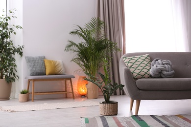 Photo of Stylish modern room interior with exotic houseplants