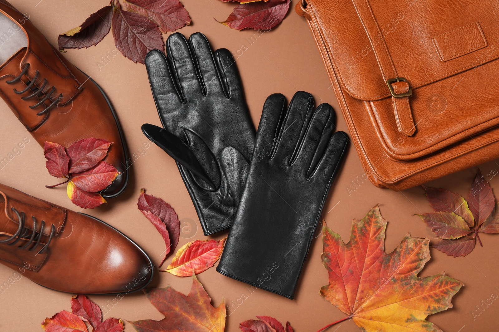 Photo of Stylish black leather gloves, pair of shoes, bag and dry leaves on brown background, flat lay