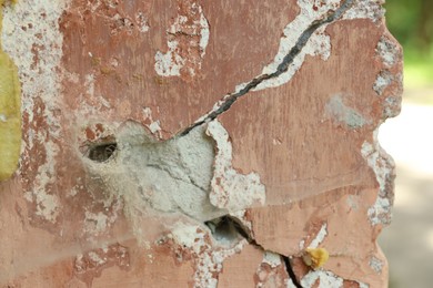 Photo of Cobweb and spider on old building outdoors, closeup