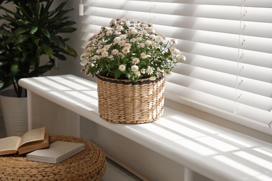 Beautiful chrysanthemum flowers on window sill indoors. Stylish interior element