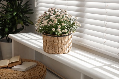 Photo of Beautiful chrysanthemum flowers on window sill indoors. Stylish interior element