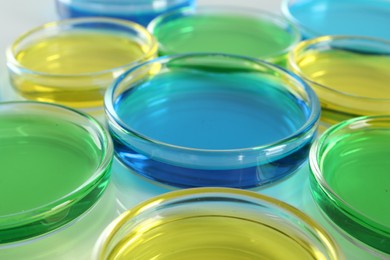 Petri dishes with colorful liquids on white table, closeup