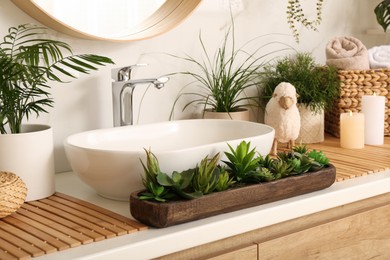 Counter with sink and many different houseplants near white marble wall