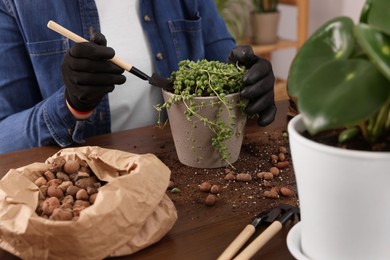 Woman transplanting houseplant into new pot at wooden table indoors, closeup