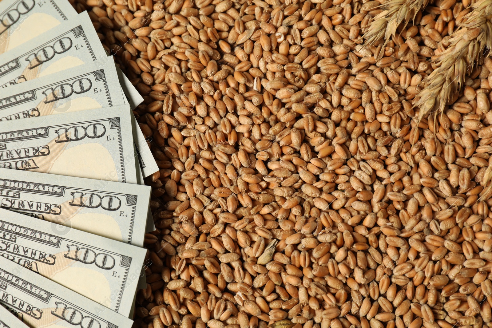 Photo of Dollar banknotes and wheat ears on grains, top view. Agricultural business