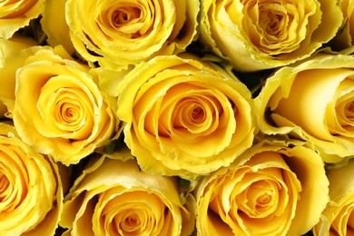 Beautiful bouquet of yellow roses as background, top view