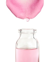 Photo of Dripping rose essential oil from petal into bottle isolated on white