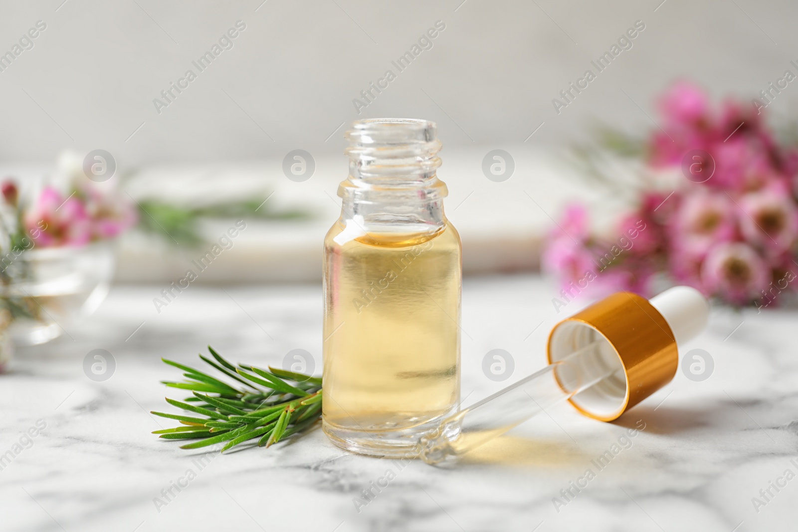 Photo of Composition with bottle of natural tea tree oil on white marble table