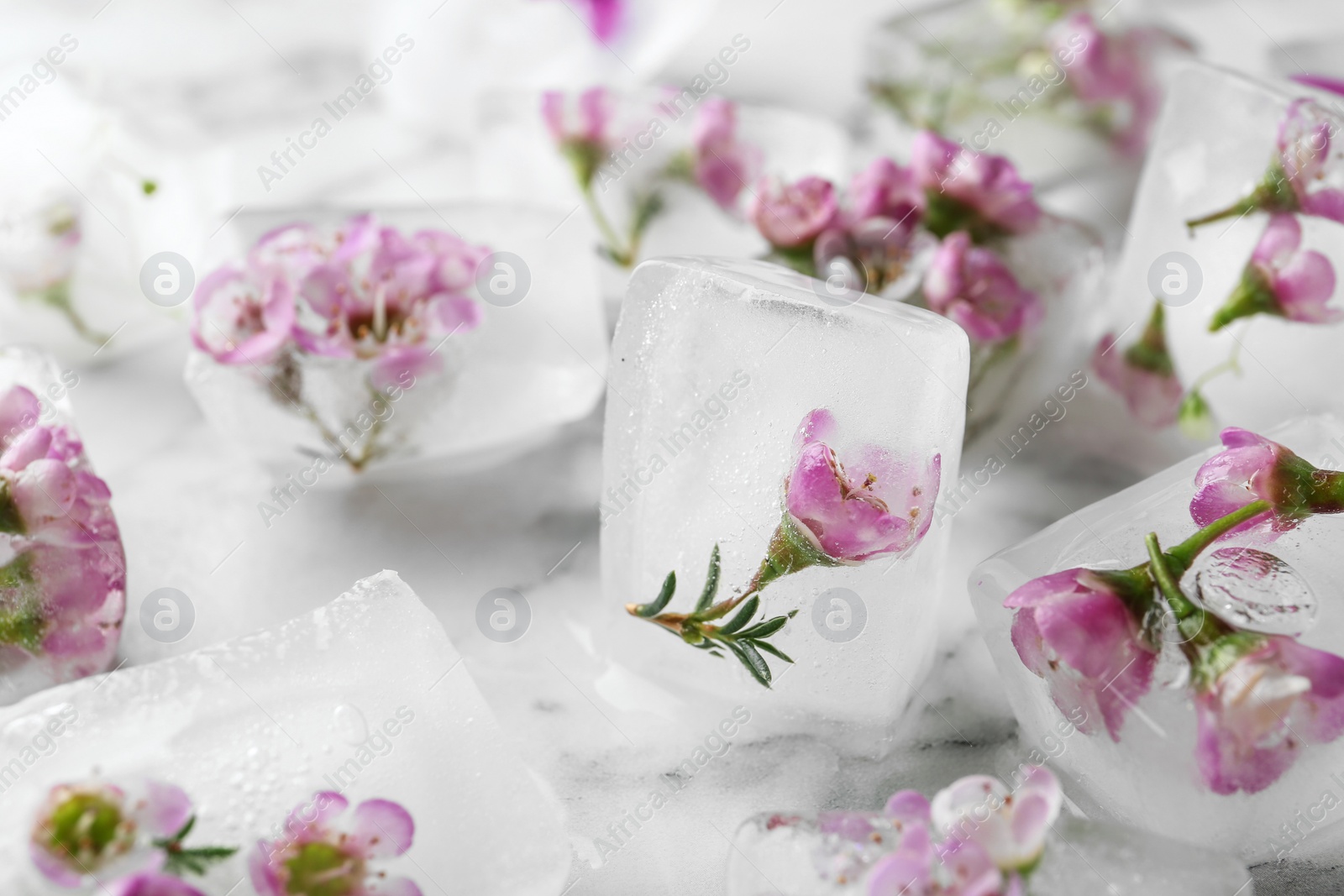 Photo of Floral ice cubes on marble table