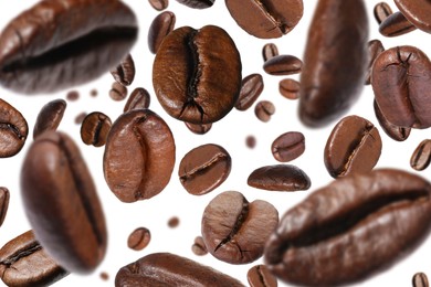 Roasted coffee beans falling o white background