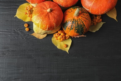 Orange pumpkins on dark background, flat lay composition with space for text. Autumn holidays