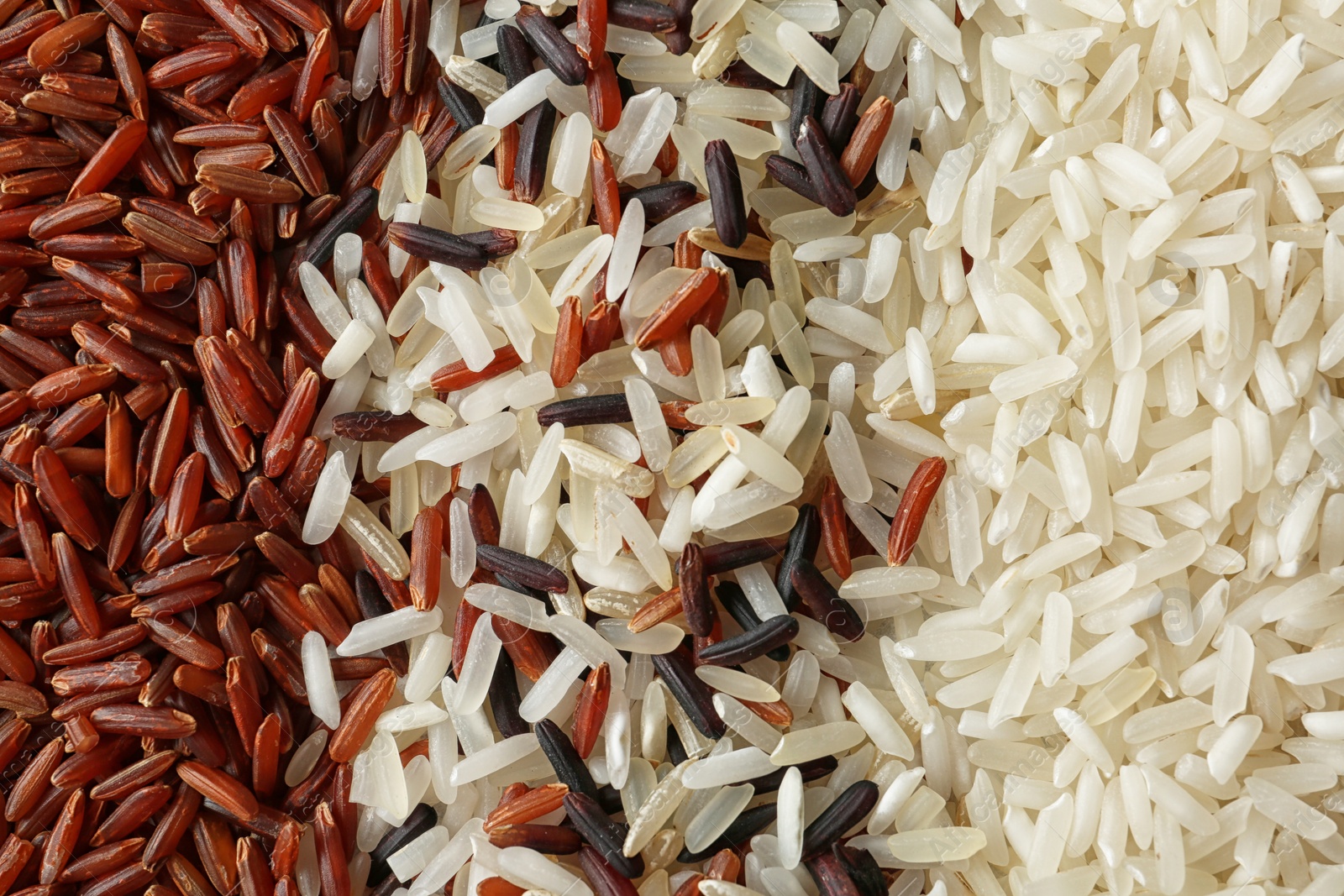 Photo of Brown and other types of rice as background, closeup