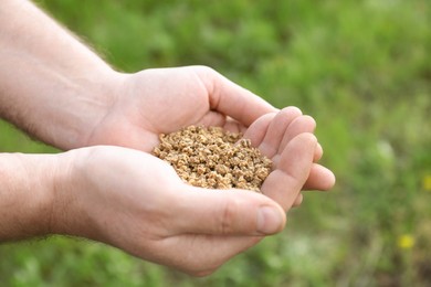 Photo of Man holding many beet seeds outdoors, closeup