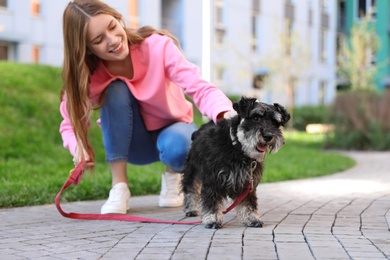 Young woman with Miniature Schnauzer dog outdoors