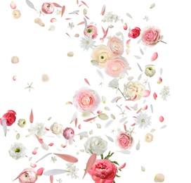 Beautiful flowers and petals flying on white background