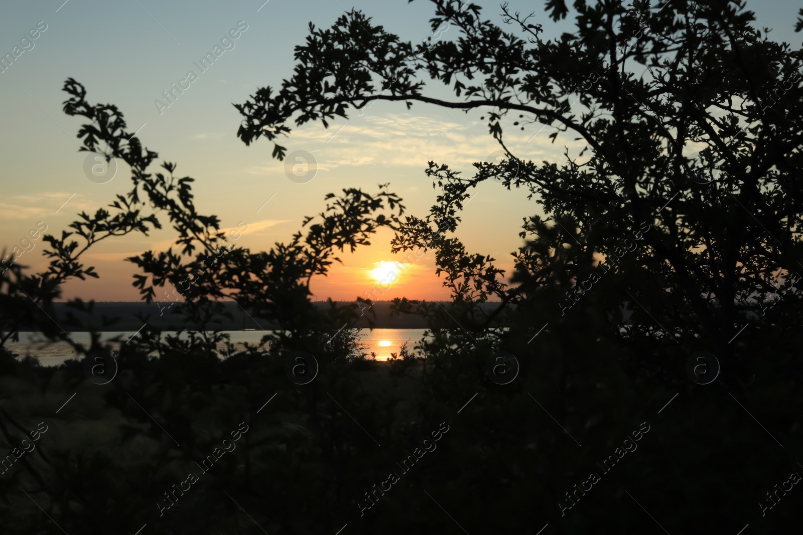 Photo of Beautiful view of trees near river at sunrise