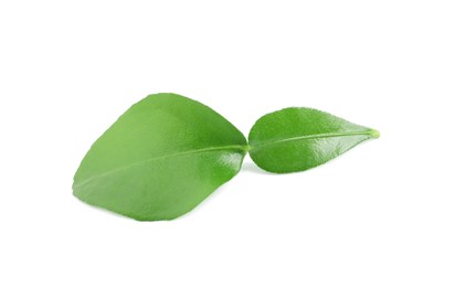 Photo of Green leaves of bergamot fruit on white background