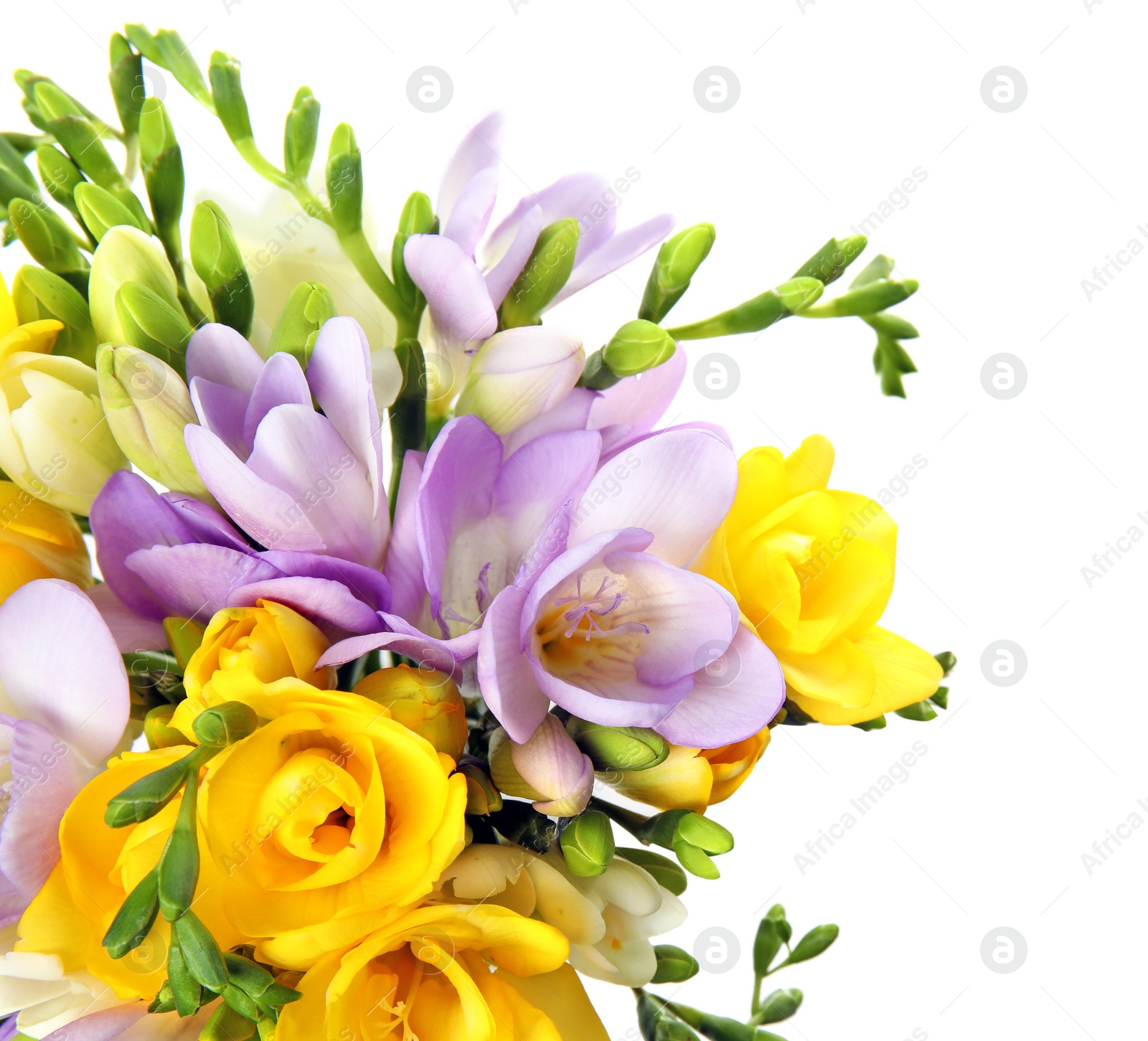 Photo of Bouquet of fresh freesia flowers isolated on white, top view