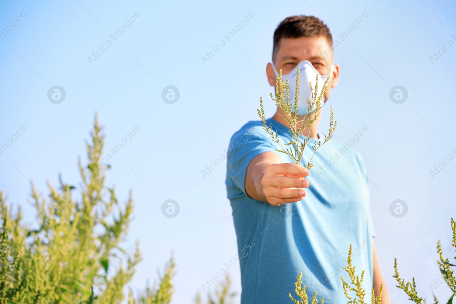 Photo of Man with ragweed branch suffering from allergy outdoors, focus on hand