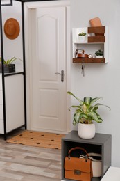 Photo of Hallway interior with stylish accessories and wooden hanger for keys on white wall